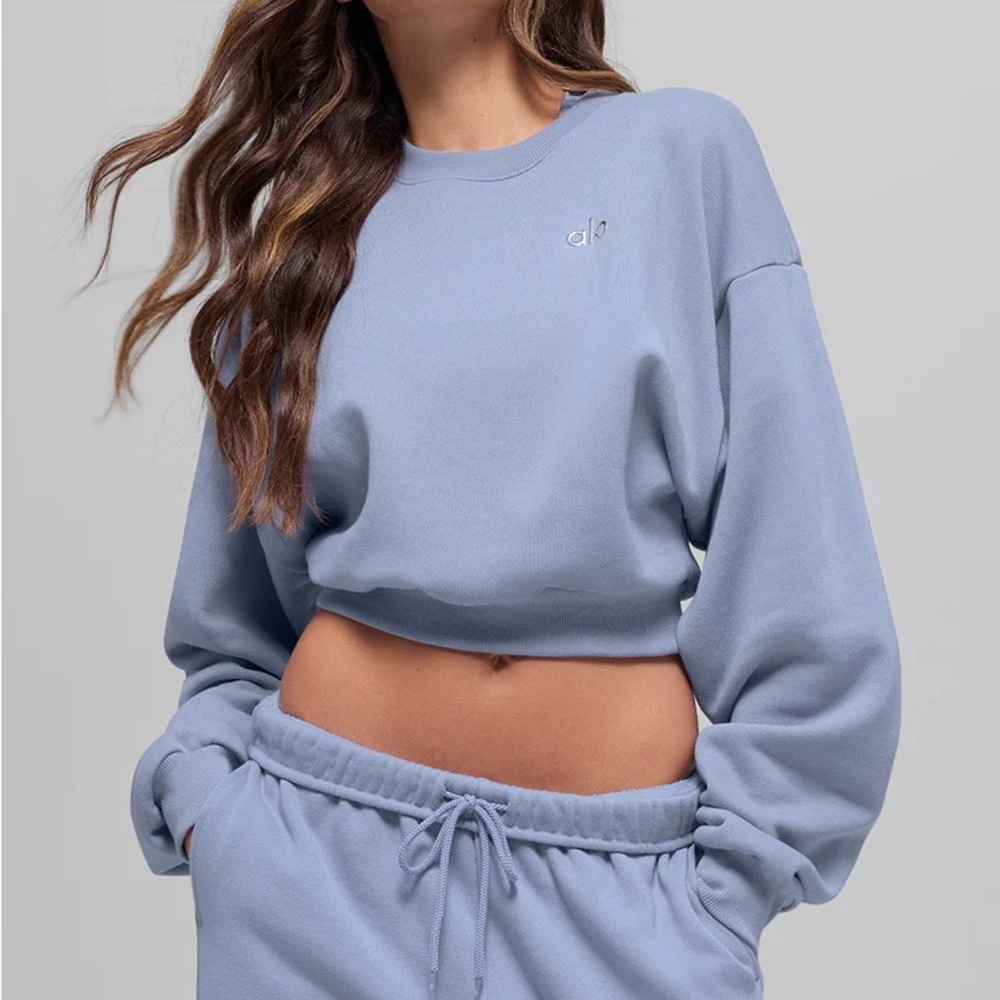 NWT Cropped Accolade Crewneck (Winter Frost)
